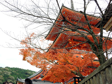 清水寺(昼)04 三重塔