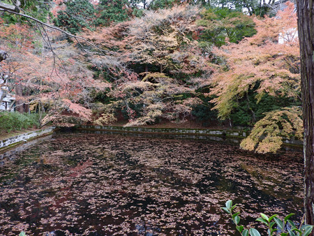 清水寺(昼)13