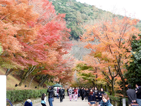 清水寺(昼)18