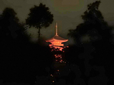 清水寺(夜)36