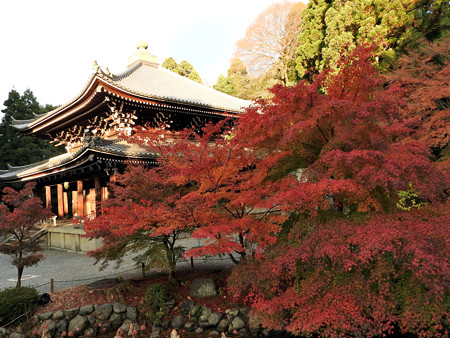 知恩院13