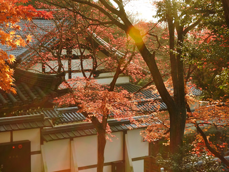 知恩院23