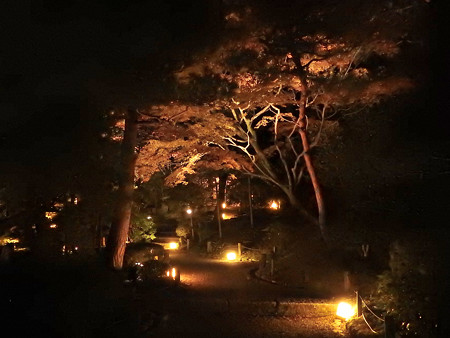 知恩院(ライトアップ)15