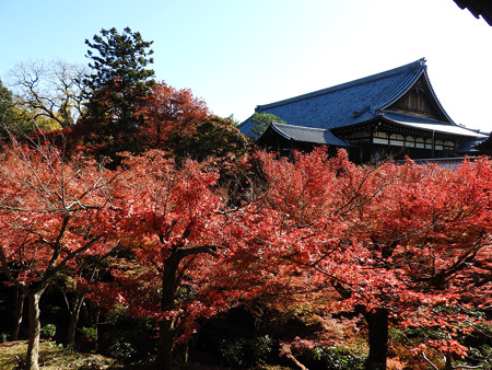 東福寺24