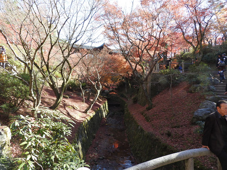 東福寺47
