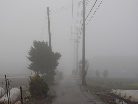 霧の朝03