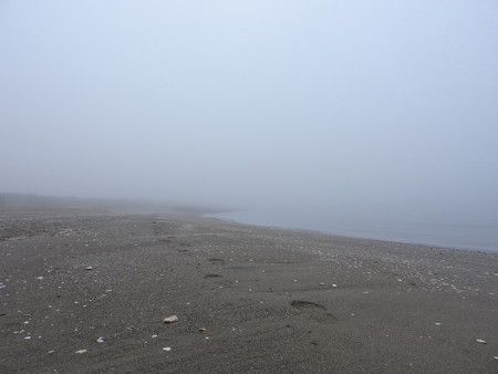 霧の朝 幕張海岸04