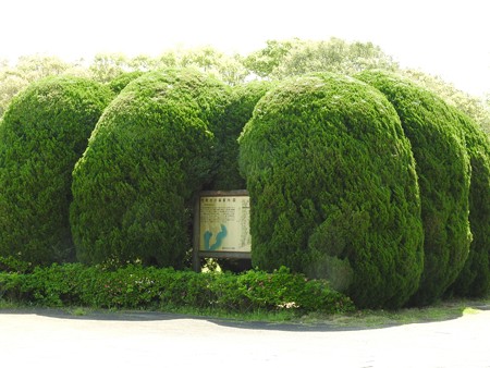 昭和の森19 市町村の森