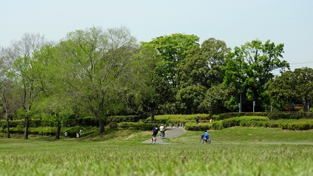 昭和の森 ワイド21 太陽の広場