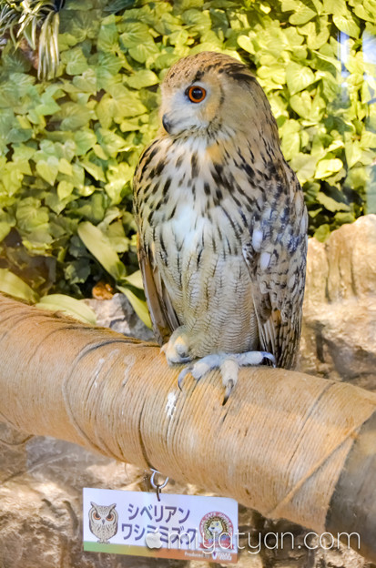 Photos: _DSC0184