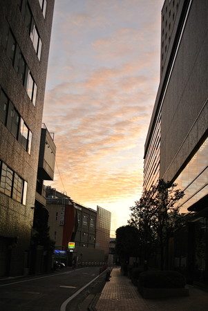 朝景色