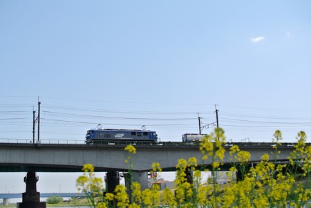 武蔵野線／多摩川橋梁