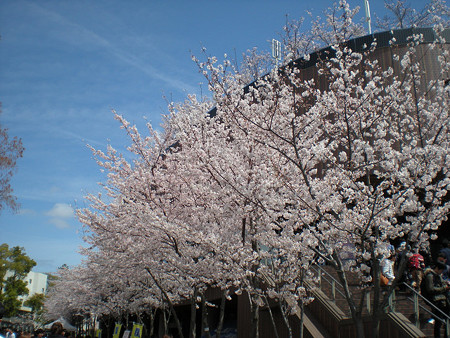 resize0799