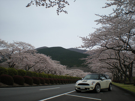 resize0803