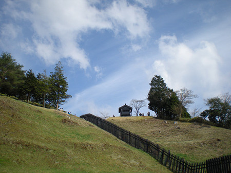 resize0811
