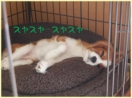 スヤスヤ