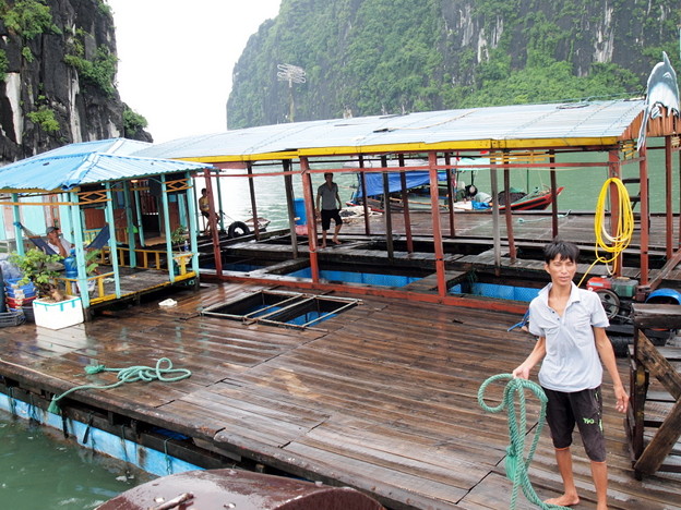 p1135191 写真: p1135191