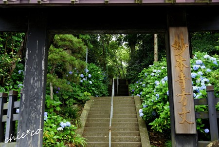 鎌倉-077