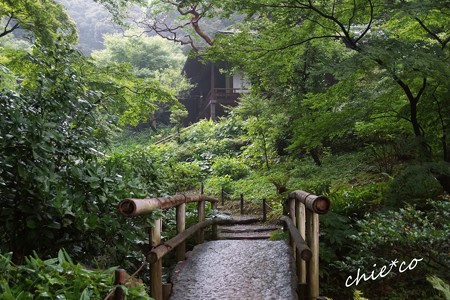 三渓園-115