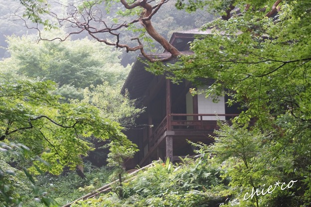 三渓園-117