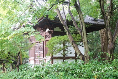 三渓園-127