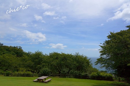 吾妻山公園-052
