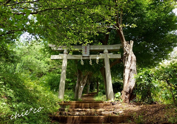 吾妻山公園-018