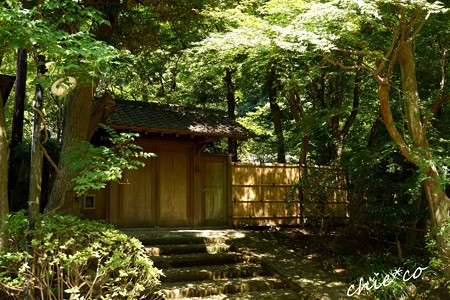 北鎌倉-005