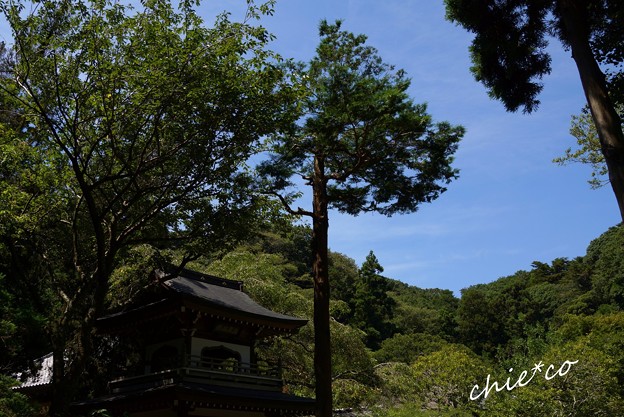北鎌倉-125
