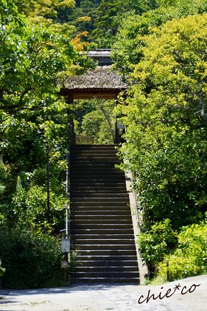 北鎌倉-252