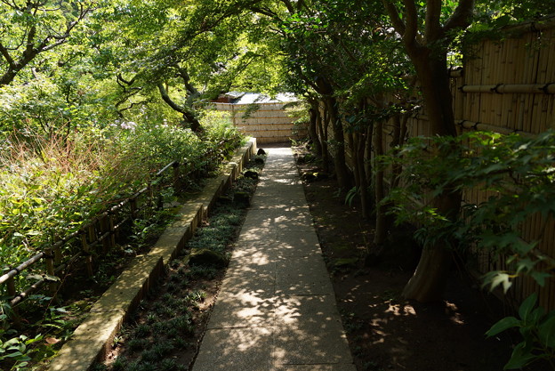 長月の円覚寺-065