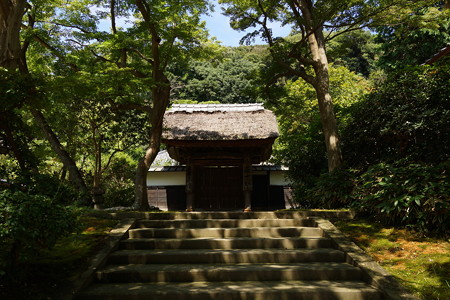 長月の円覚寺-120