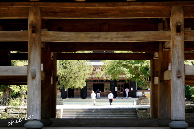 長月の円覚寺-276