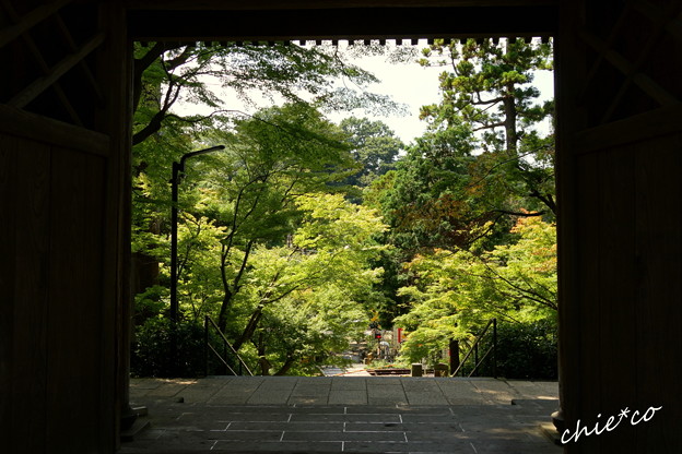 長月の円覚寺-279