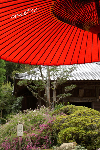 海蔵寺-128