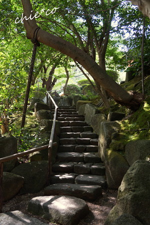 鎌倉-226