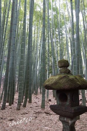 鎌倉-261