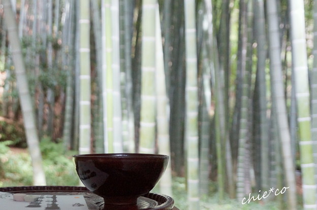 鎌倉-268