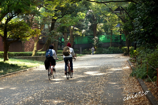 DSC08182-001