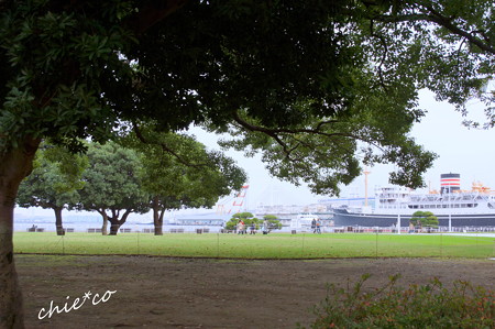 yokohama-209