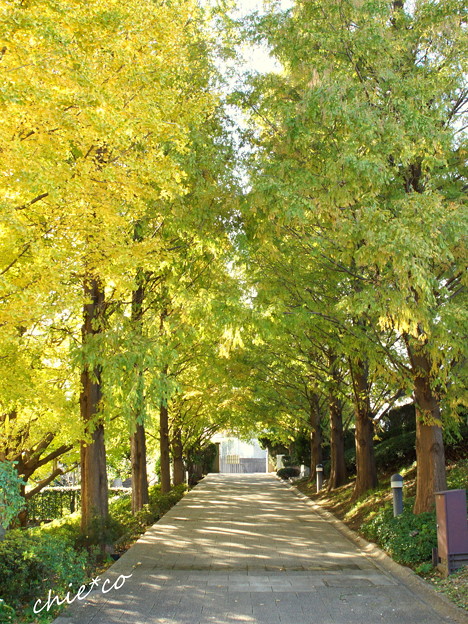 イタリア山庭園-175