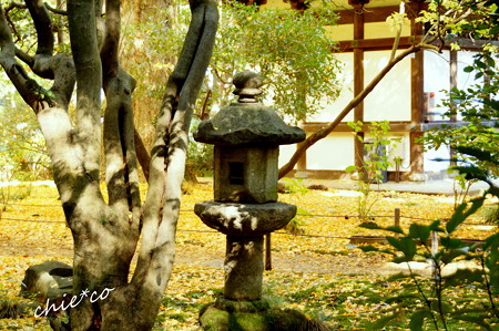 三渓園-275