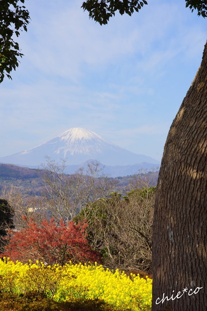 吾妻山公園-150