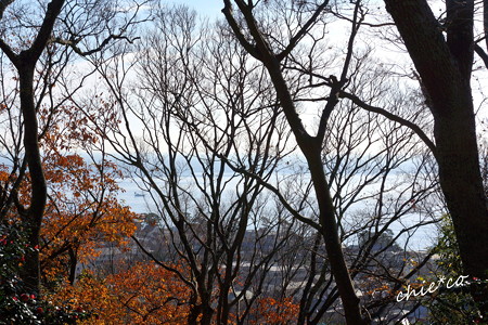 吾妻山公園-181