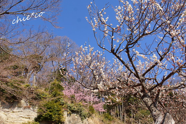 北鎌倉-377