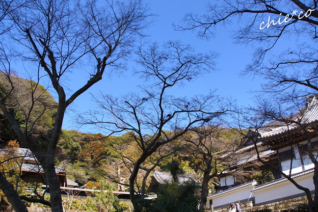 北鎌倉-397