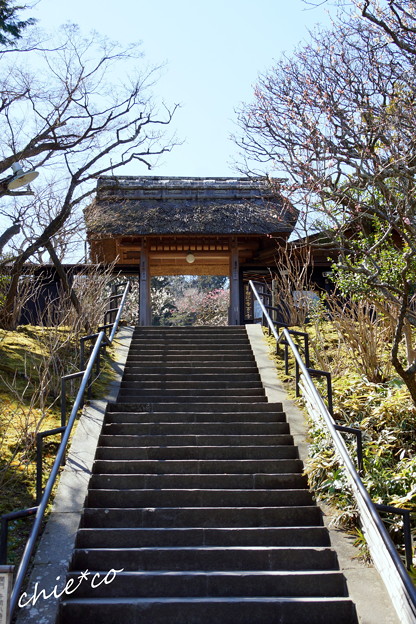北鎌倉-395