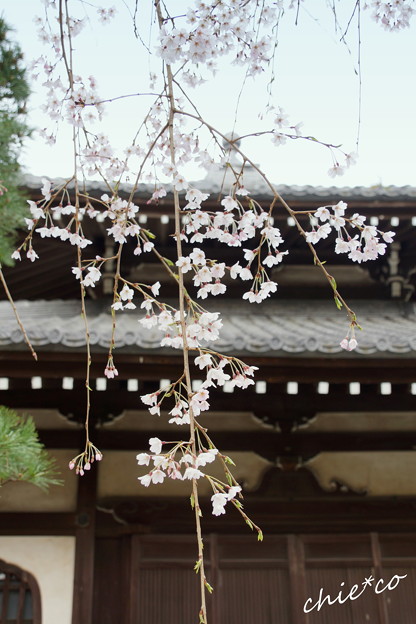 鎌倉-205