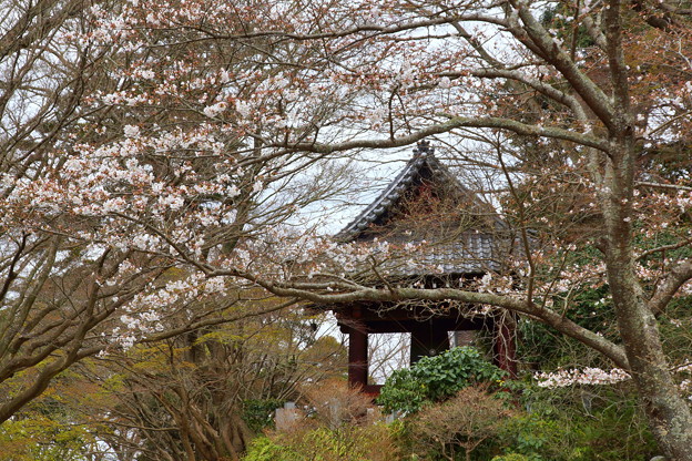 鎌倉-248