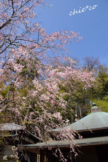 北鎌倉-305